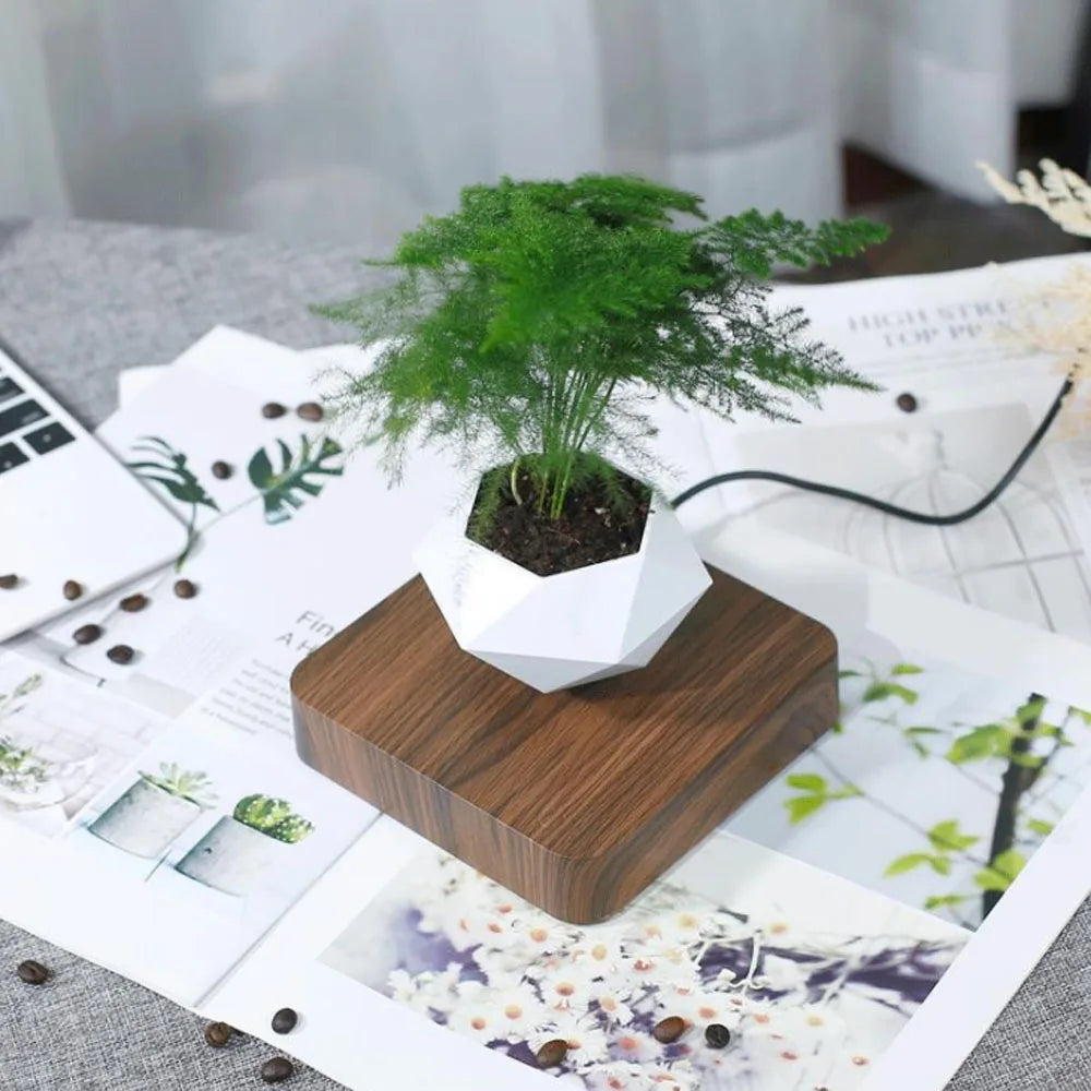 Transform Your Space with the Levitating Air Bonsai Pot