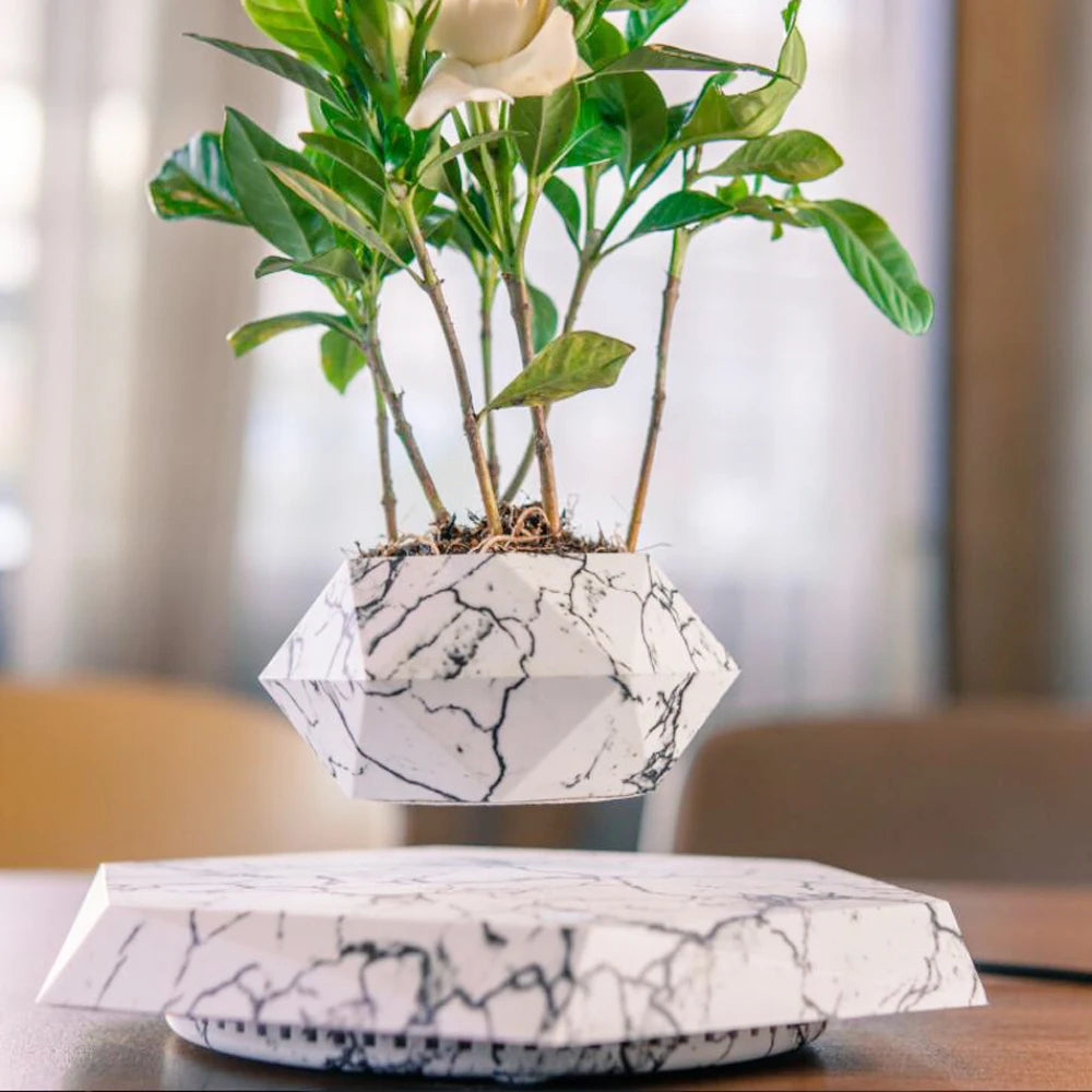 Transform Your Space with the Levitating Air Bonsai Pot