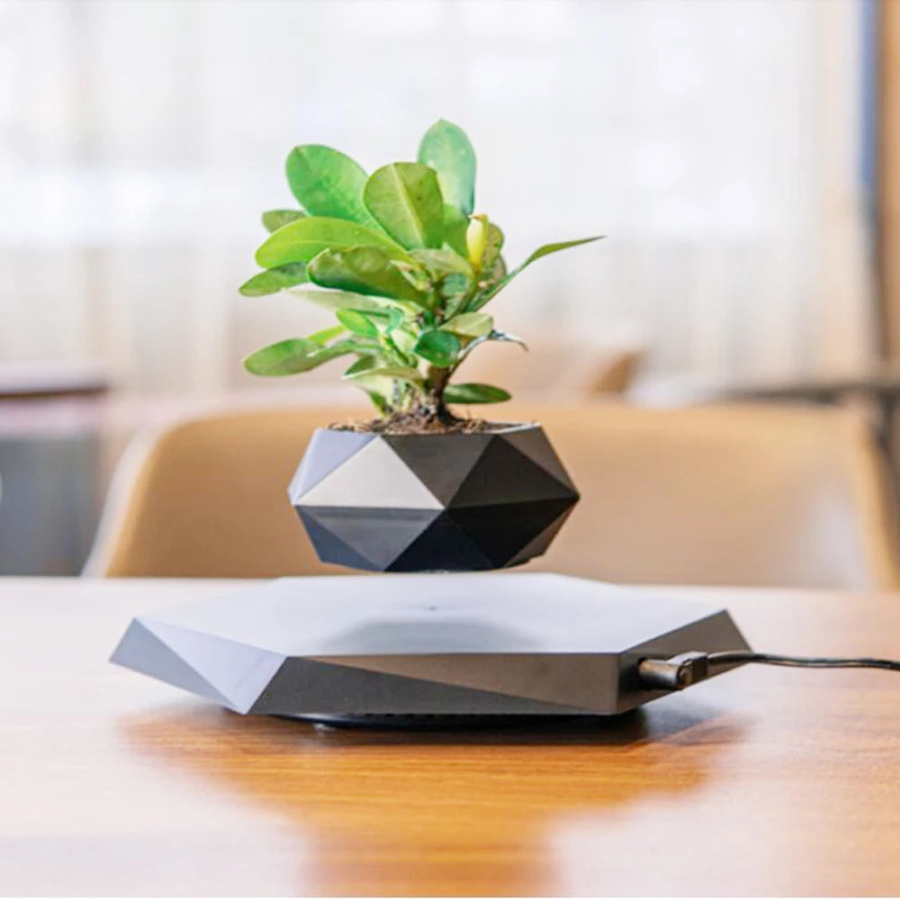 Transform Your Space with the Levitating Air Bonsai Pot