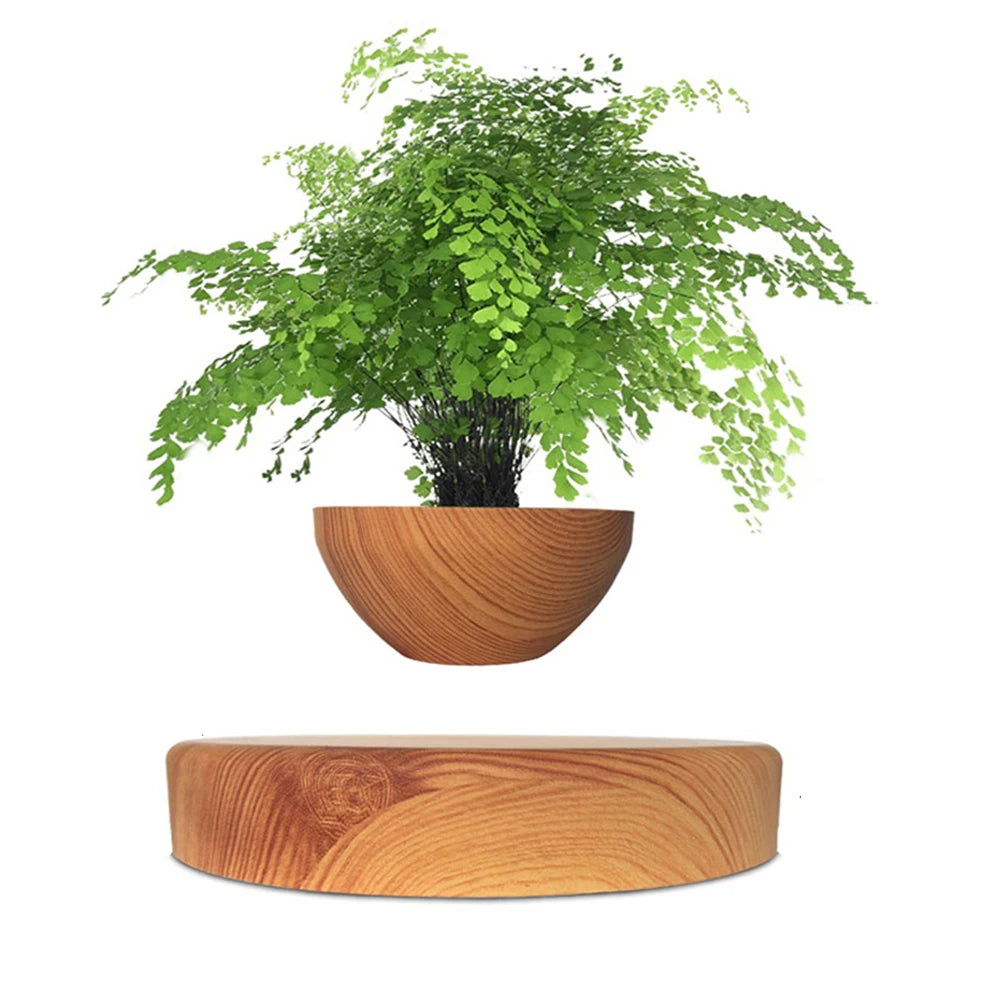 Transform Your Space with the Levitating Air Bonsai Pot