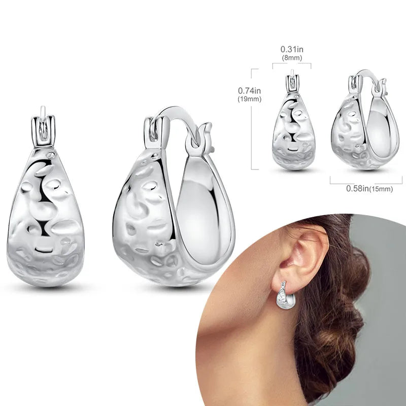 925 Sterling Silver Hoops Earrings Hypoallergenic Hoops Earrings With Zirconia Fashion High Quality Jewelry for Women Girls