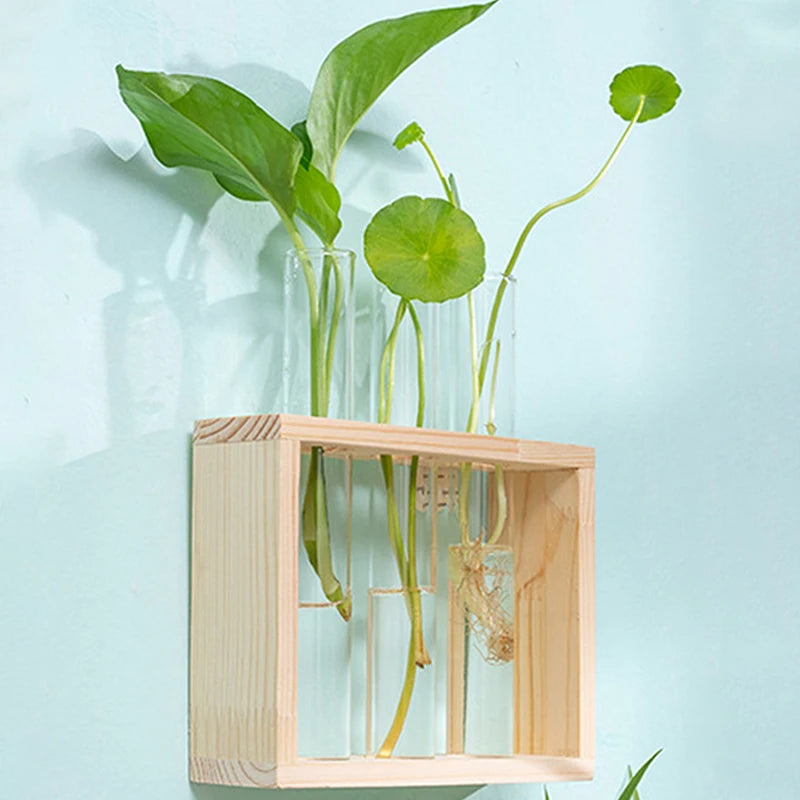 Modern Hydroponic Plant Container with Wooden Frame – Perfect for Home Decor