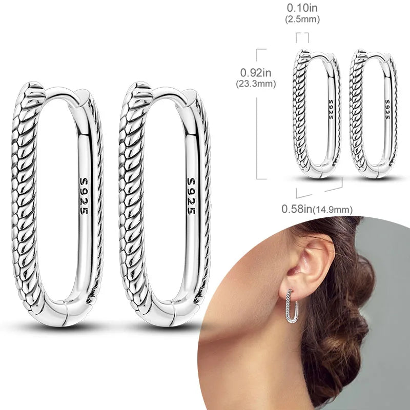 925 Sterling Silver Hoops Earrings Hypoallergenic Hoops Earrings With Zirconia Fashion High Quality Jewelry for Women Girls
