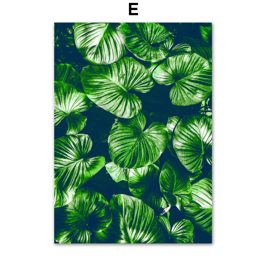 Exquisite Green Plant Canvas Paintings - Perfect for Living Room Decor