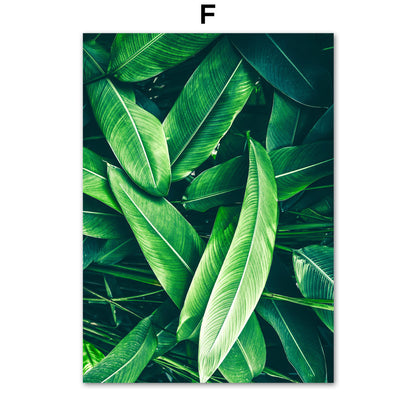 Exquisite Green Plant Canvas Paintings - Perfect for Living Room Decor