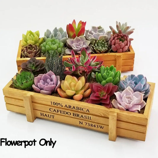 Rustic Decorative Wall Panels & Succulent Boxes – Hand-Carved Wooden Flower Pot for Indoor & Outdoor Charm