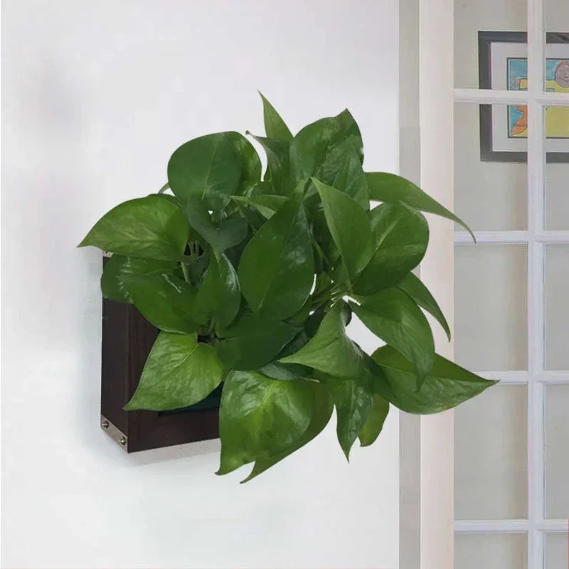 Wall Mounted Succulent Planter | Levitating Flower Pot | Space-Saving Balcony & Indoor Decoration