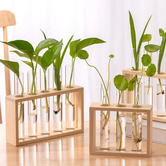 Modern Hydroponic Plant Container with Wooden Frame – Perfect for Home Decor