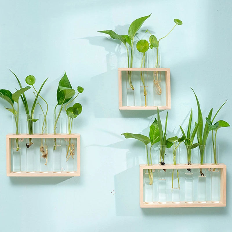 Modern Hydroponic Plant Container with Wooden Frame – Perfect for Home Decor