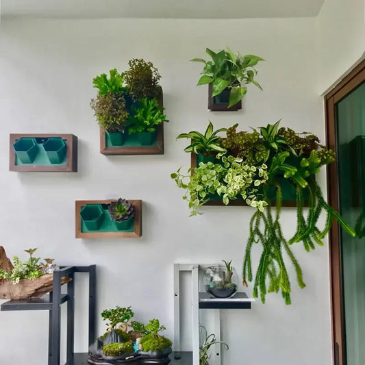 Wall Mounted Succulent Planter | Levitating Flower Pot | Space-Saving Balcony & Indoor Decoration