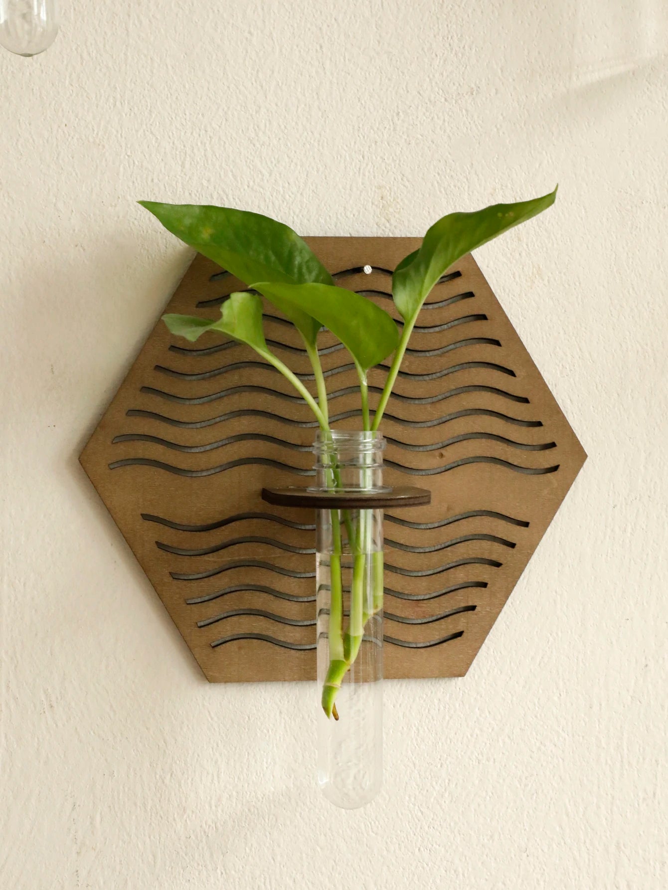 Elevate Your Home Decor with a Stylish Wooden Wall Vase