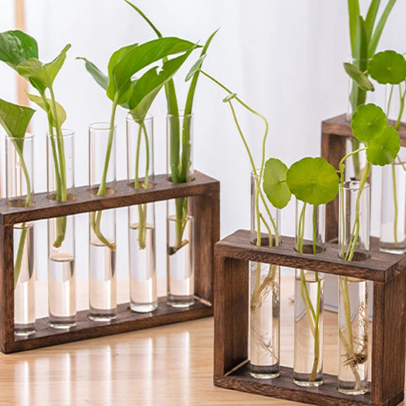 Modern Hydroponic Plant Container with Wooden Frame – Perfect for Home Decor