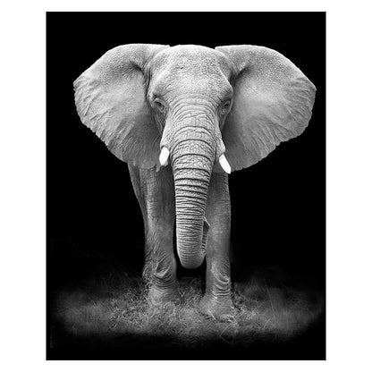 Transform Your Space with Exquisite Canvas Painting Wall Art | Modern Animal Collection